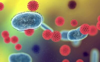 Protect High Touch Surfaces – Make Surfaces Germicidal For 30 Days