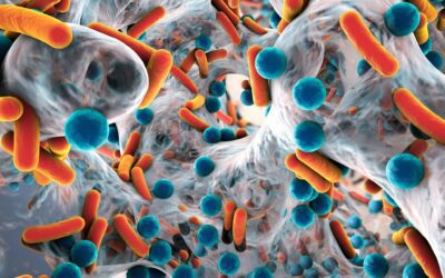 Detect Biofilms & Coronavirus In Your Facility Quickly & Cost-Effectively