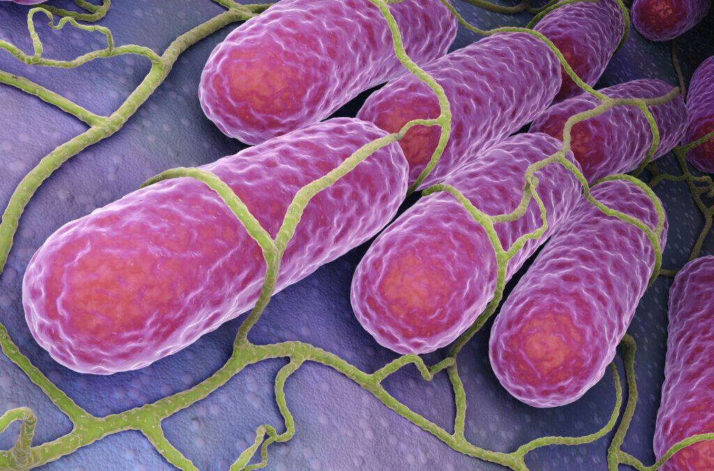 How To Get Rid Of Listeria In Drains