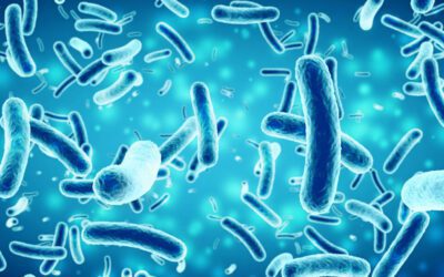 Don’t Aerosol Contaminates In Your Food Plant: What You Need To Know