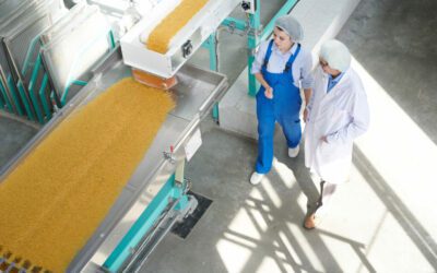 What It Is Like To Work At SGA