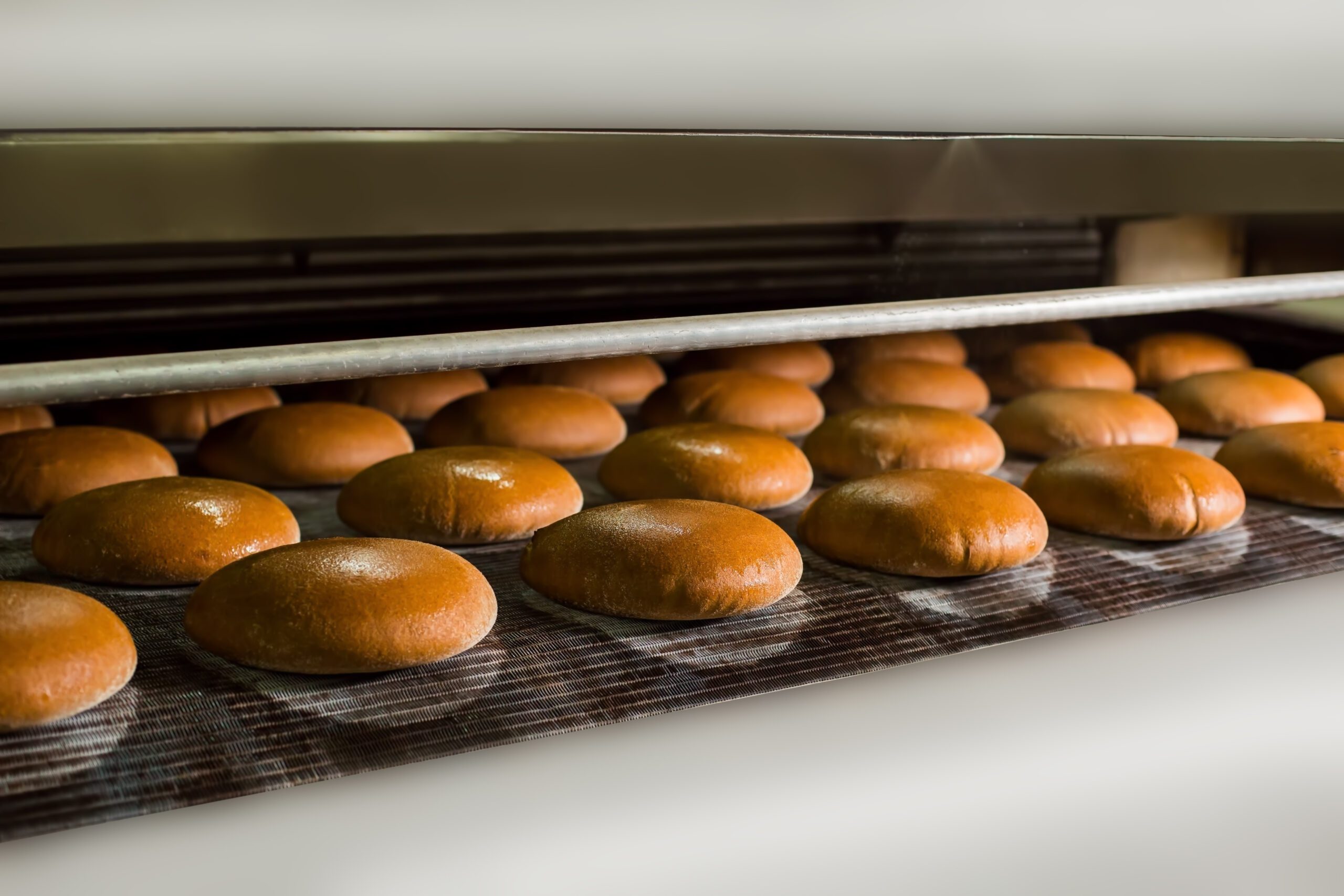 Loaves of bread on the production line in the bakery.