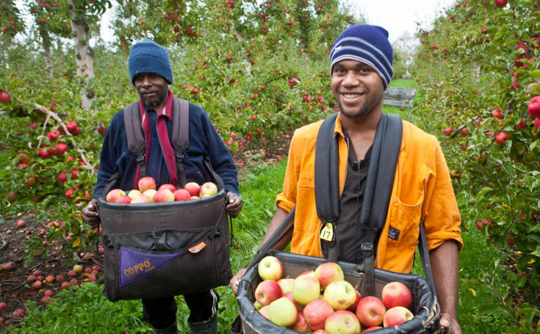 The Positive Effects The PALM Scheme Has Had On The Food Industry