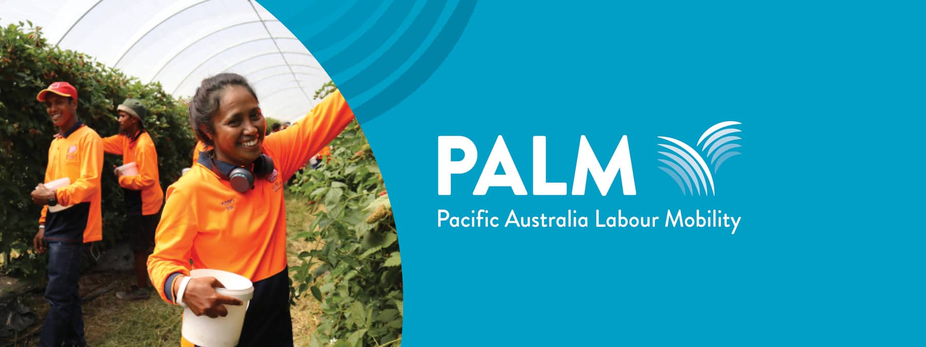 What Is The PALM Scheme?