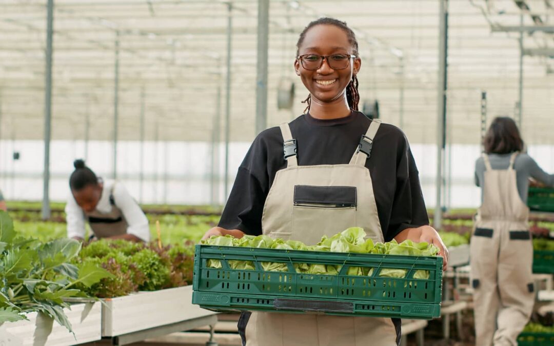 The PALM Program’s Positive Impact On The Food Industry