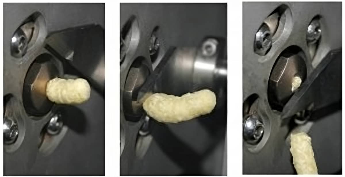 Extrusion Food Processing