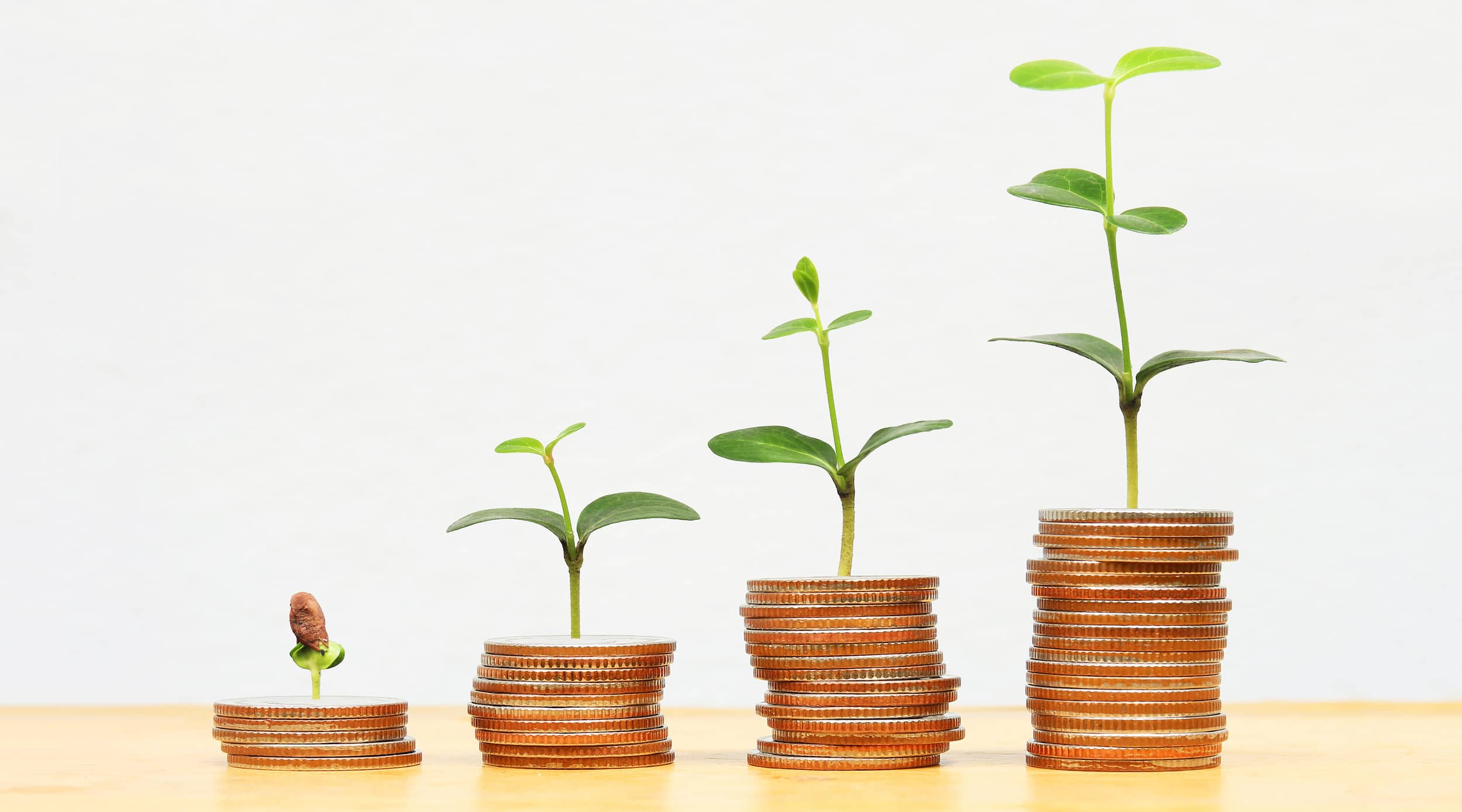 How Sustainable Food Processing Practices Can Reduce Costs For Facilities