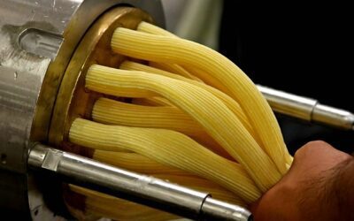 Enhancing Nutritional Quality Of Foods Through Extrusion Processing