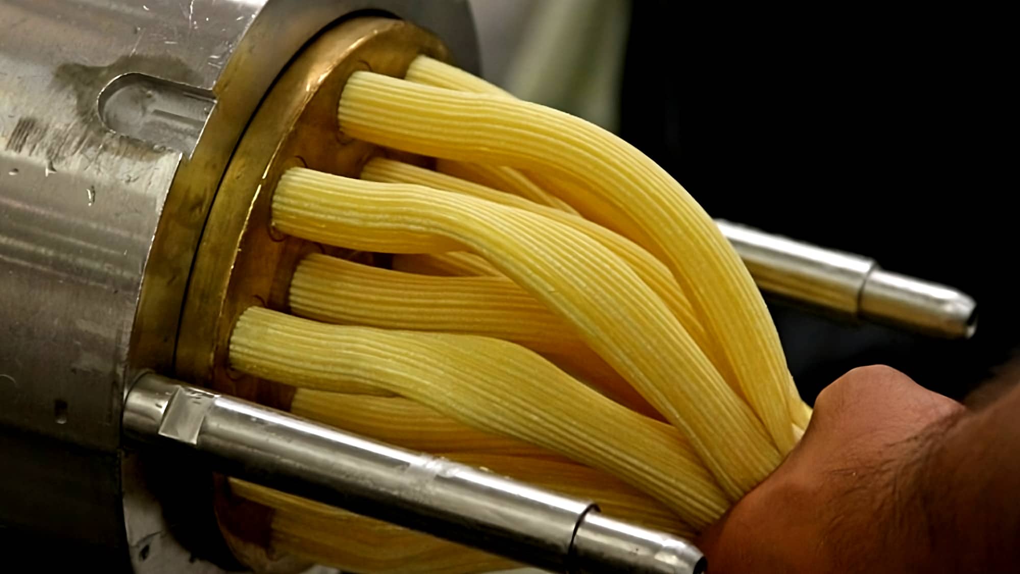 pagelarge_gda-ekstruzyonu_20200928104514(2)