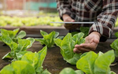 10 Examples Of Modern Technology In Food Production