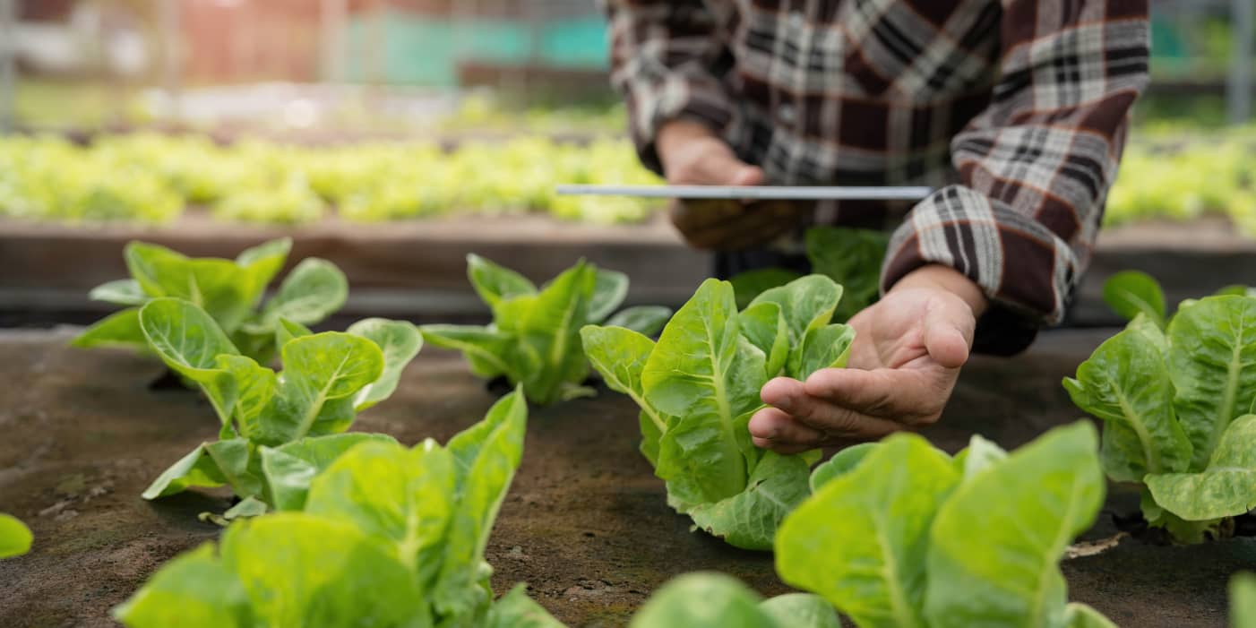 farmer-checking-quality-by-tablet-agriculture-mode-2022-10-27-20-12-56-utc(1)(1)