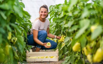 How A Clean Food Production Facility Can Attract Customers