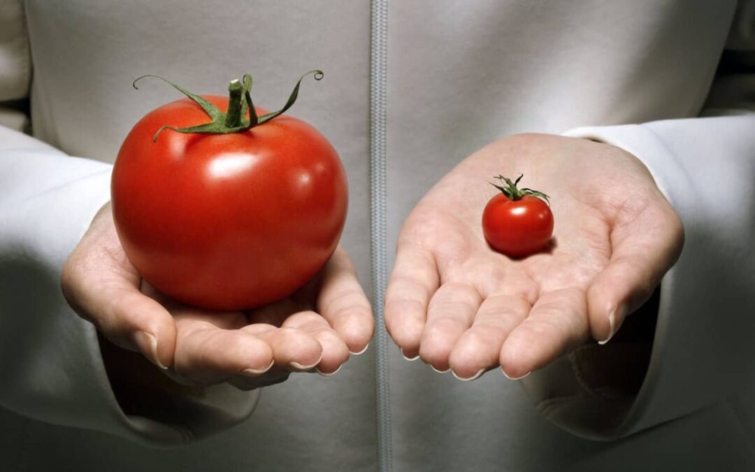 How GMOs Are Revolutionizing The Food Production Industry