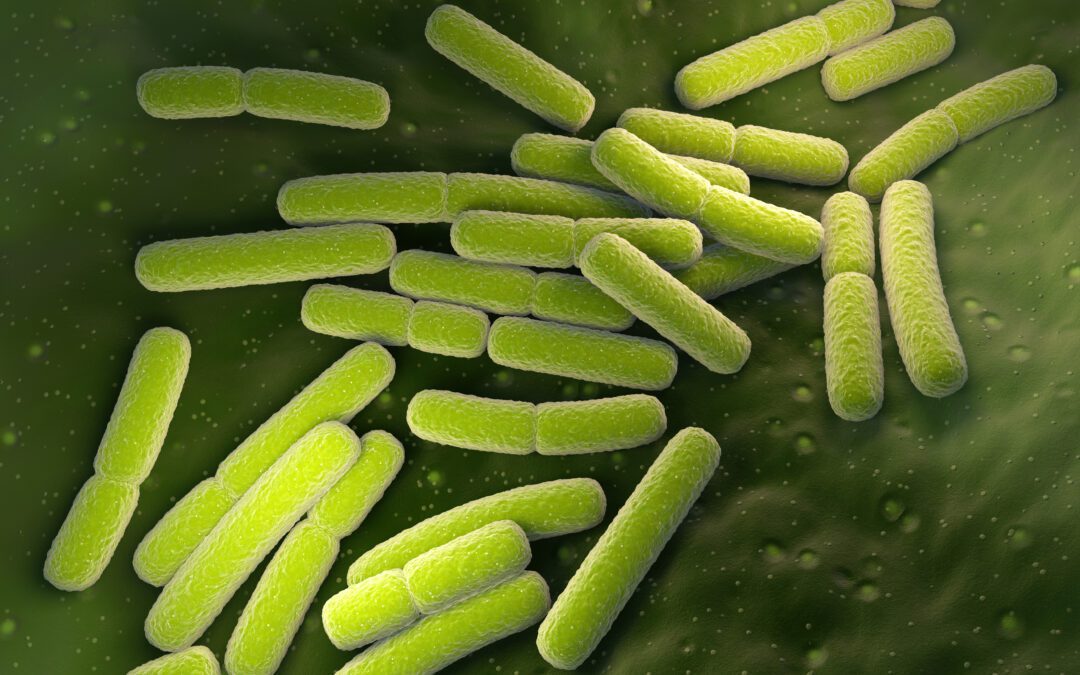 How To Combat Listeria: Protecting Your Food & Health