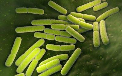 How To Combat Listeria: Protecting Your Food & Health