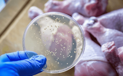 Salmonella Knowledge: SGA’s Industry-Leading Approach To Food Safety