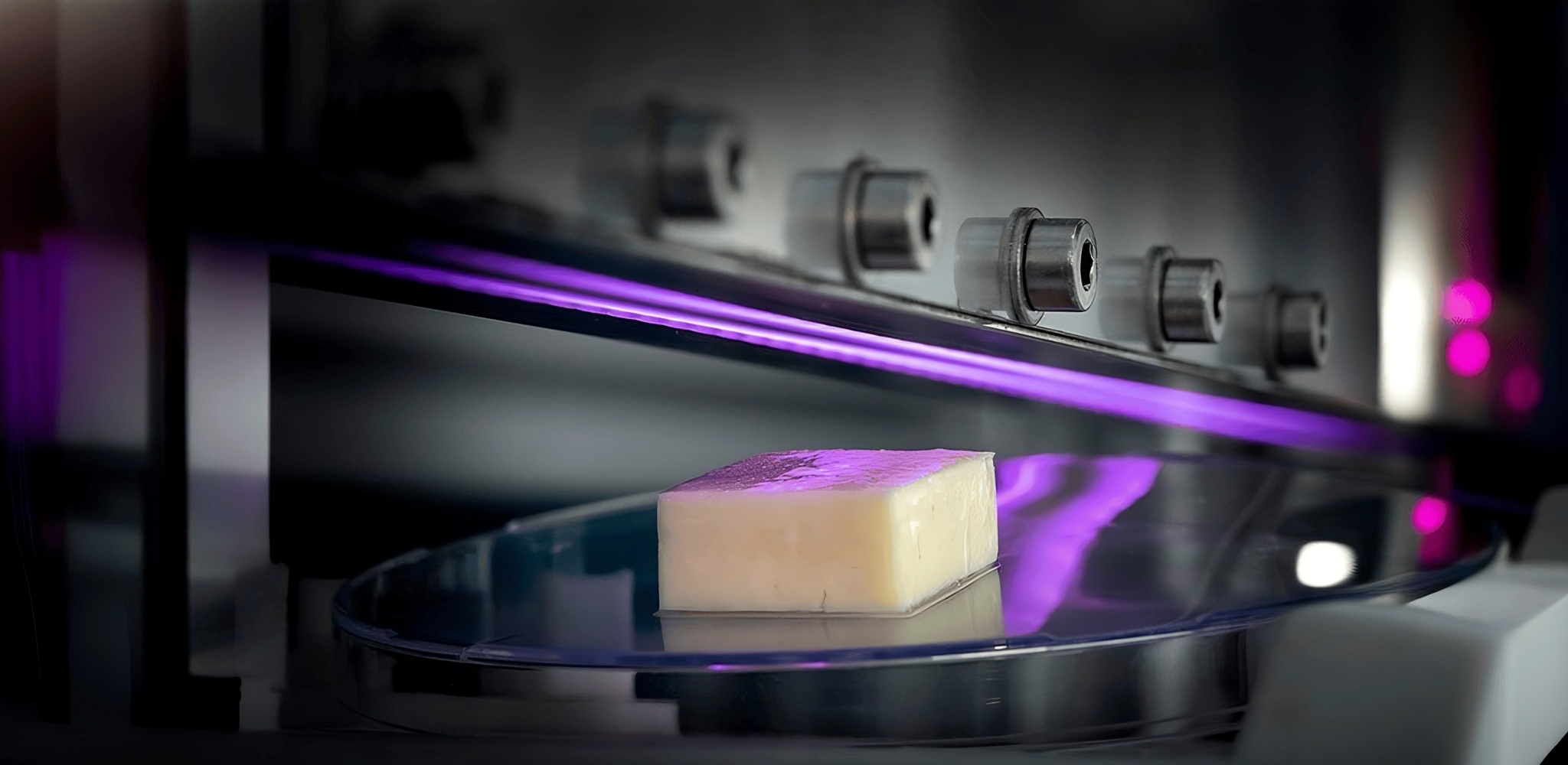 New_Project(8)(1)-transformed